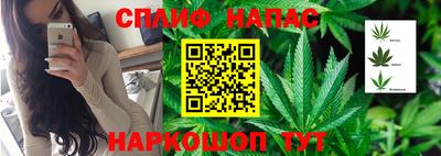 крисы Обнинск