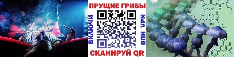 купить наркотик  Ульяновск  Галлюциногенные грибы Magic Shrooms 