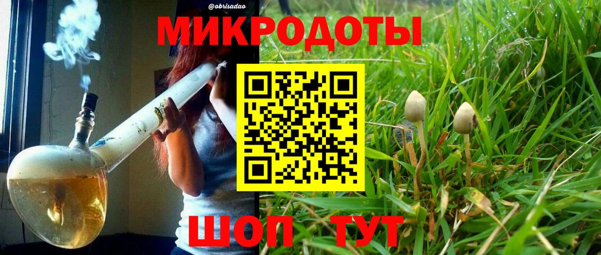 Псилоцибиновые грибы GOLDEN TEACHER  Галлюциногенные грибы ЛСД  Вход с VPN  Ульяновск 